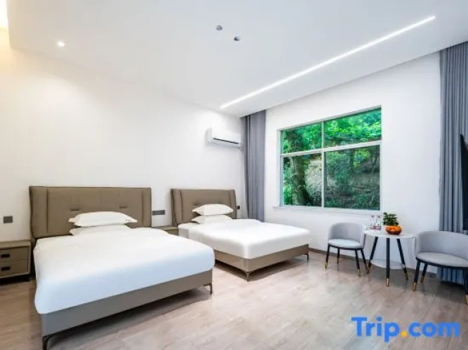 Double Apartment