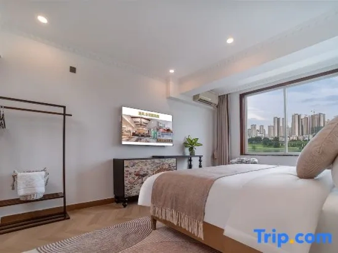 Standard Double room with city view