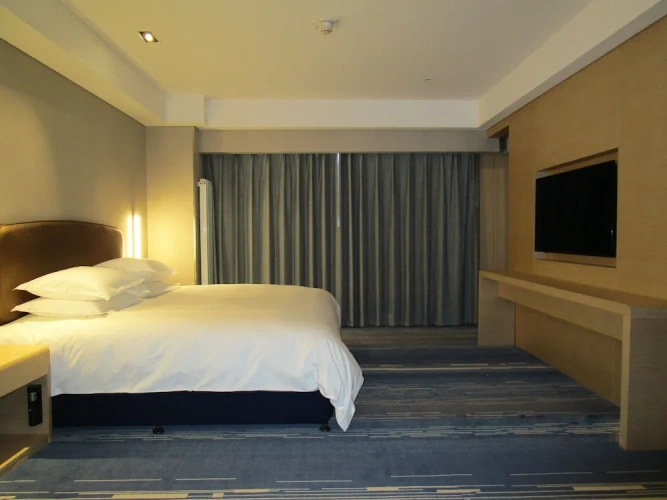 1 Bedroom Suite