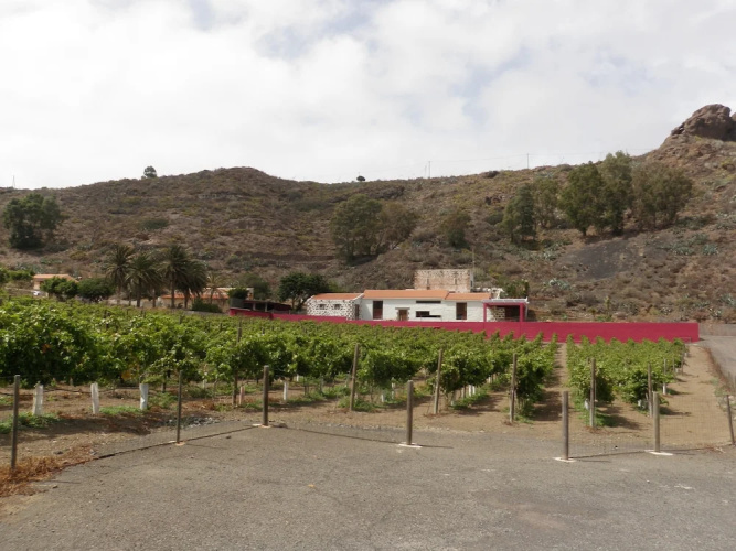 Finca La Salud