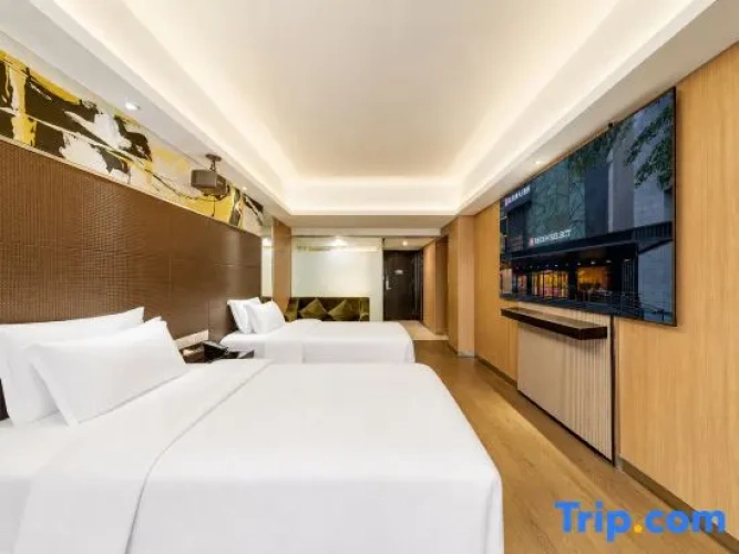Standard Twin room with city view