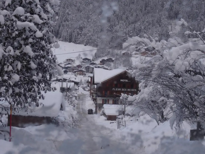 Fleur Des Neiges