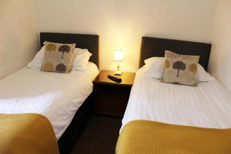 Economy Twin room