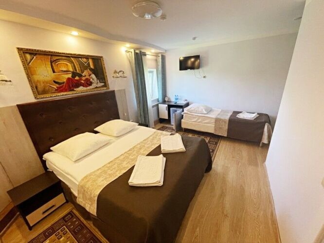 Фотография номера гостиницы Музеон