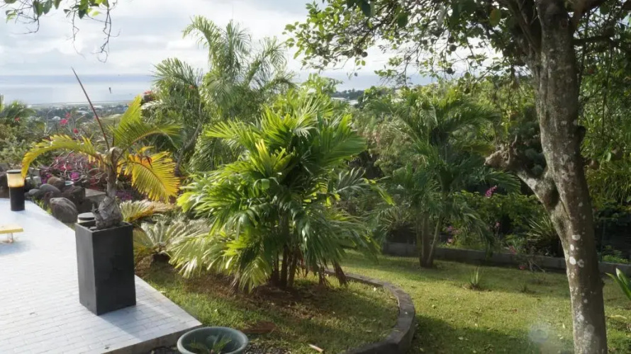 Bungalow Premium Tahiti