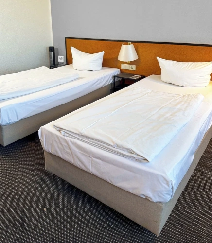 Economy Twin room