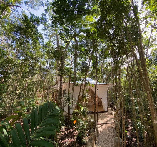 Kuha Glamping