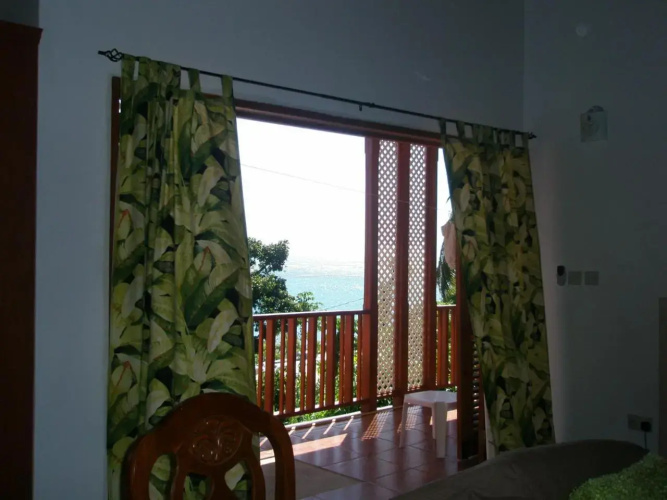 Palm View