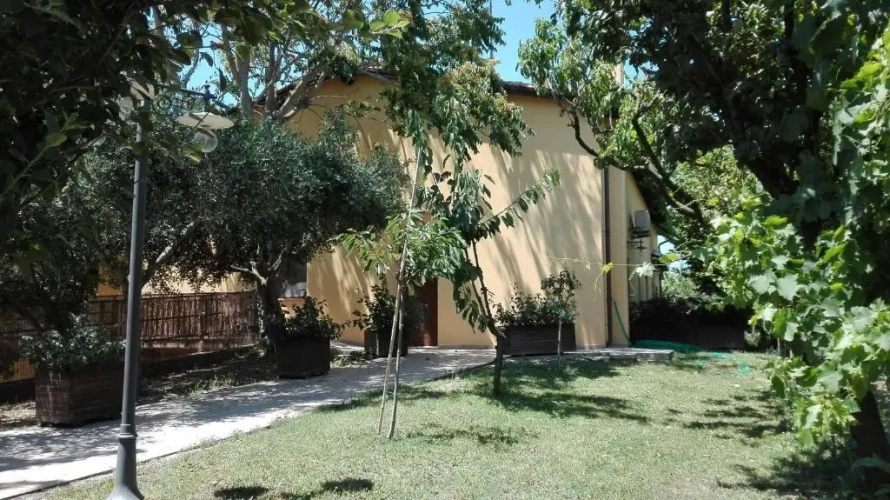 Standard Apartment