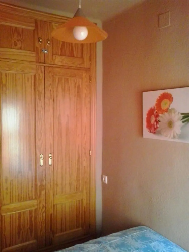 Apartment in Torrox, Malaga 102919