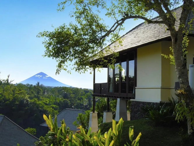 Luxury Villa