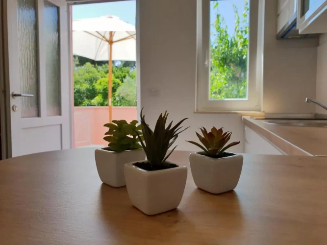 Double Studio