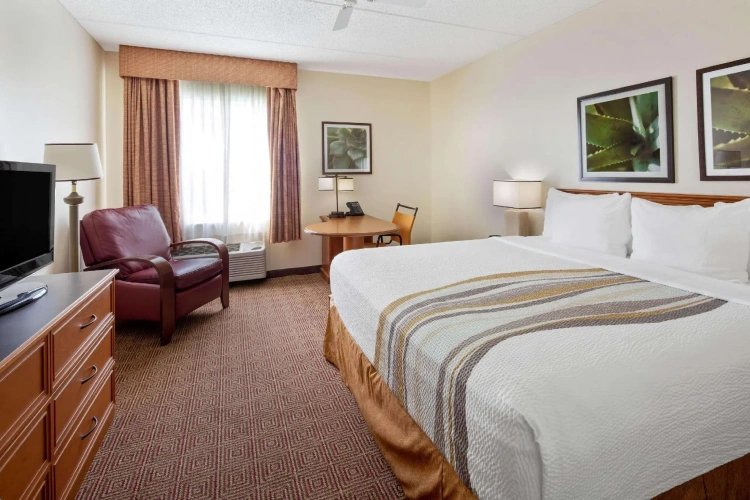 Standard Double room with courtyard view