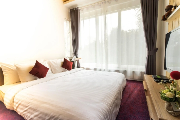 Standard Double room with balcony and with garden view