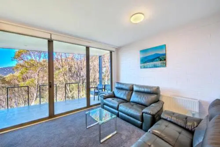 Snow Ski Apartments 25