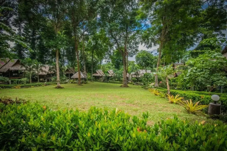 Tarzan Island Bungalow