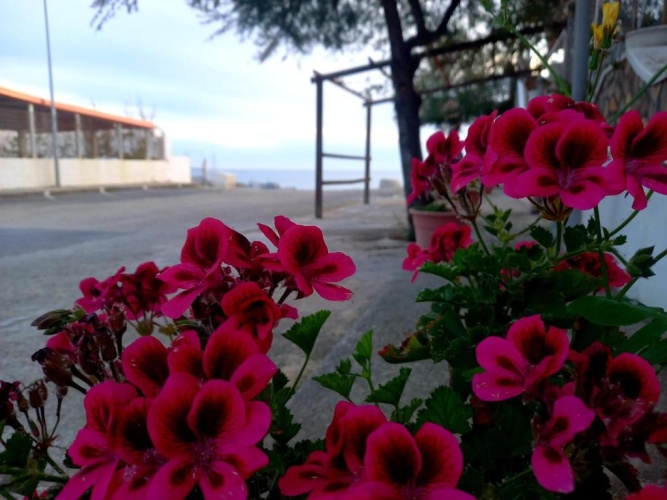 Eremo sul Mare APARTAMENT FUSCALDO