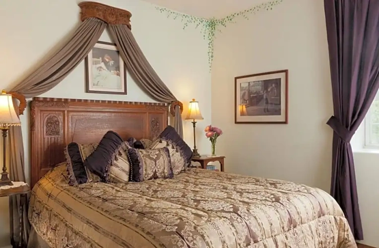 Deluxe Single Suite