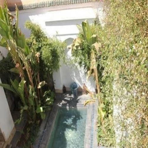 Riad Essakaya