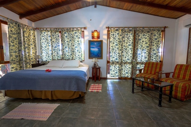 Deluxe Villa with balcony and with ocean view