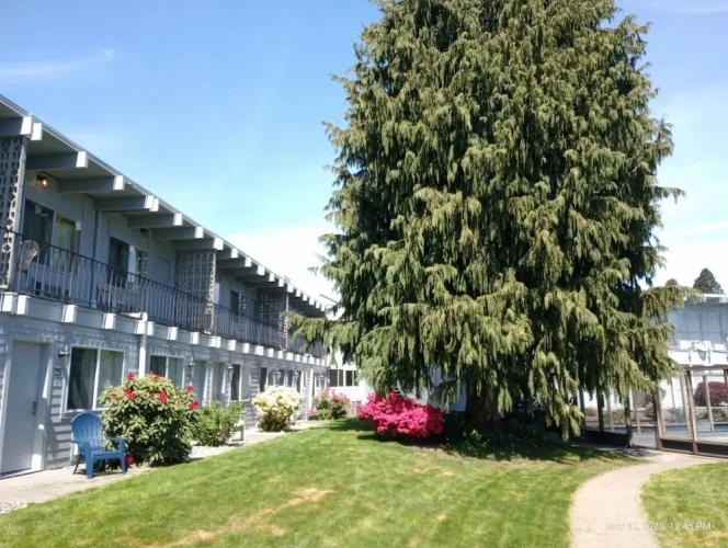 Deluxe Double Studio with courtyard view