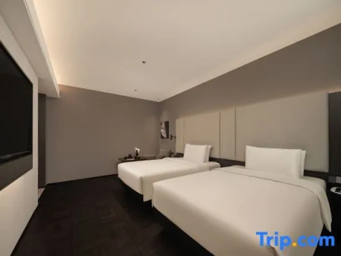 Executive Twin room