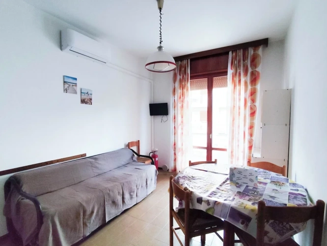 1 Bedroom Apartment with balcony and with city view