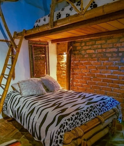Premium Double room with garden view