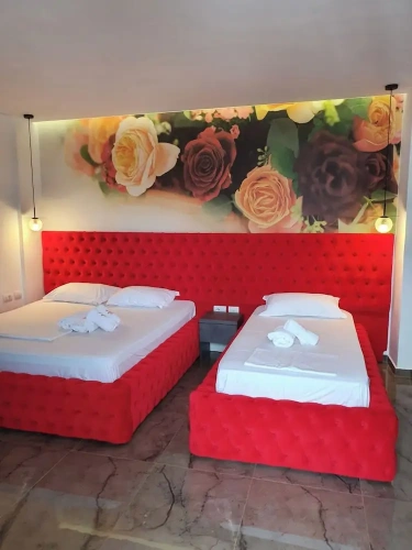 Basement Suite