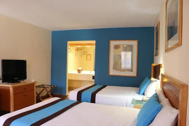 Standard Double room with pool view