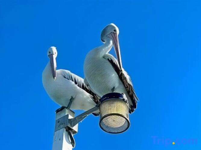 Torquay Terrace B&BOver view