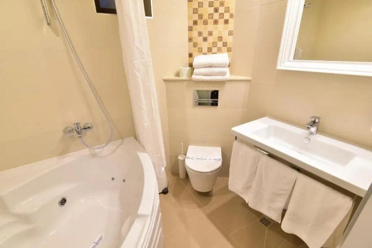 Deluxe Twin room with view