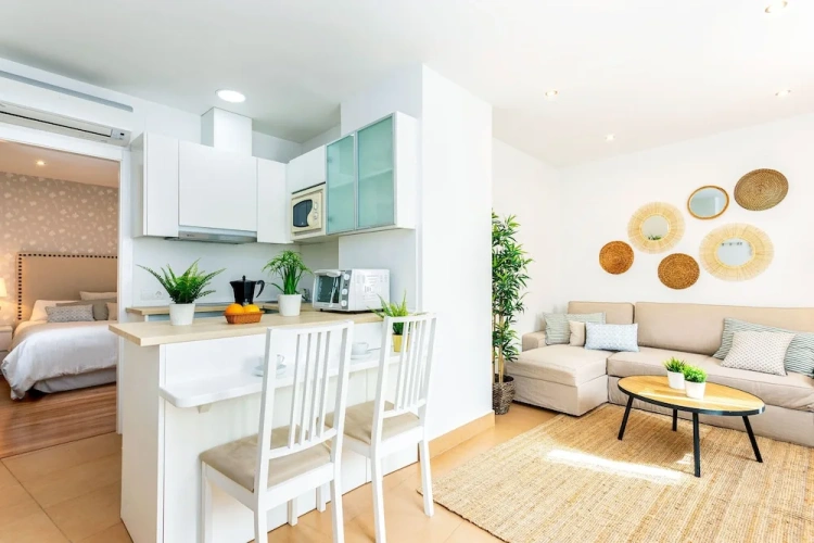 1 Bedroom Apartment