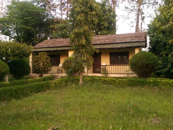 Bardia Forest Resort