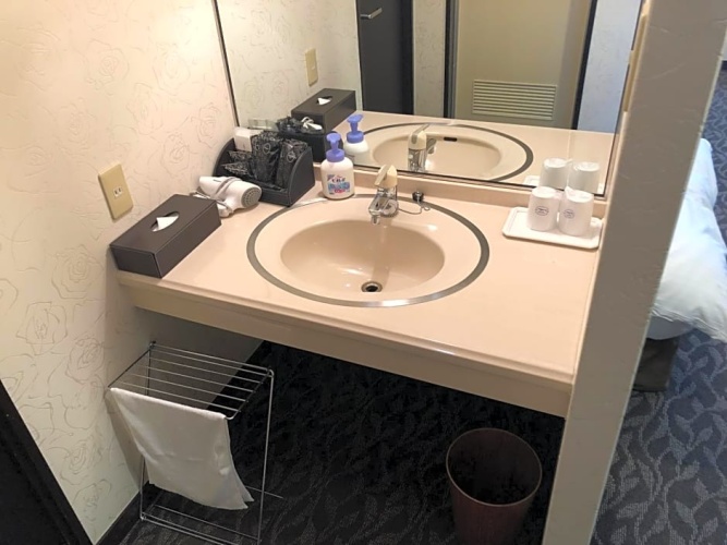 Twin Suite with city view