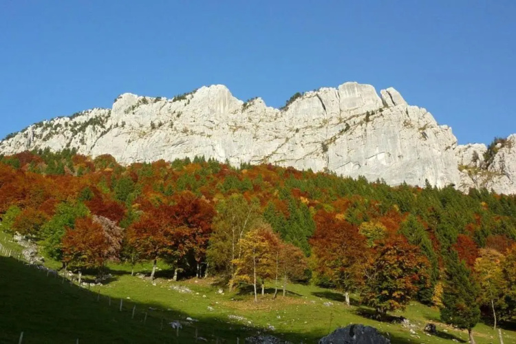 Au cœur de Saint-Jorioz
