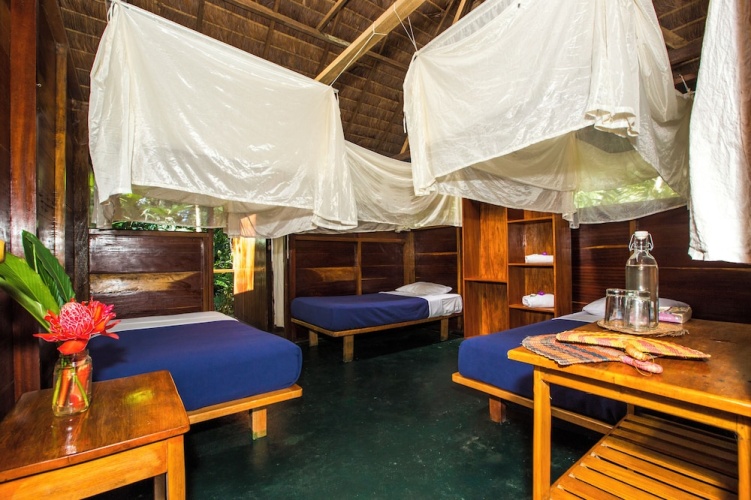 1 Bedroom Classic Double room with garden view