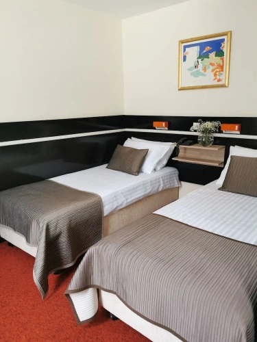 Standard Double room with lake view
