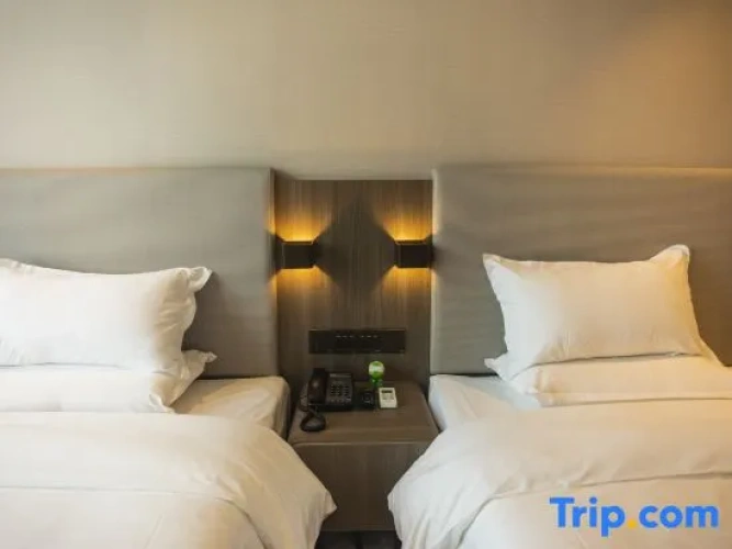 Standard Twin room with view