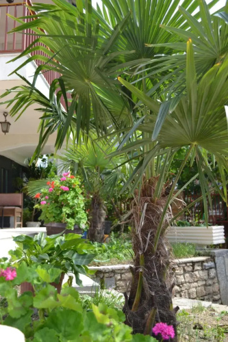 Villa Fania