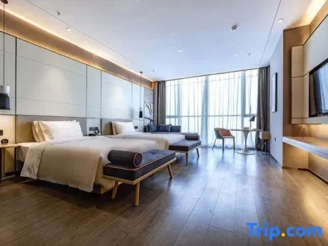 Executive Twin room with city view