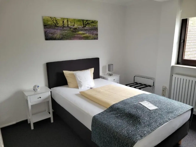 Standard Double room with balcony and with view