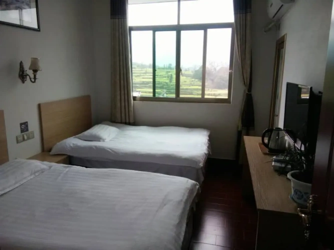 Standard Twin room with mountain view