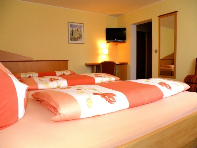 Comfort Double room