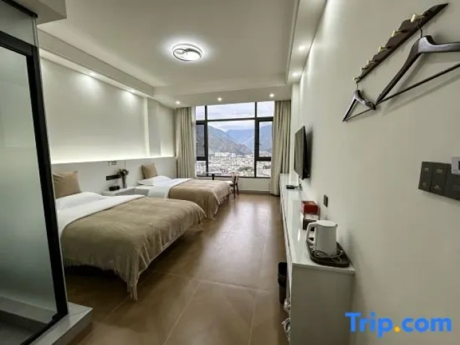 Standard Twin room with city view
