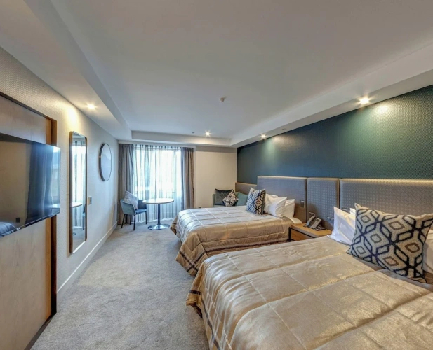 Deluxe Sextuple room