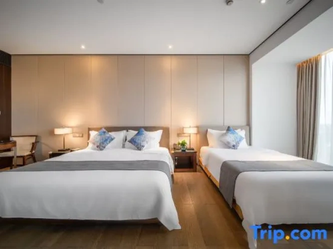 Deluxe Double room with city view