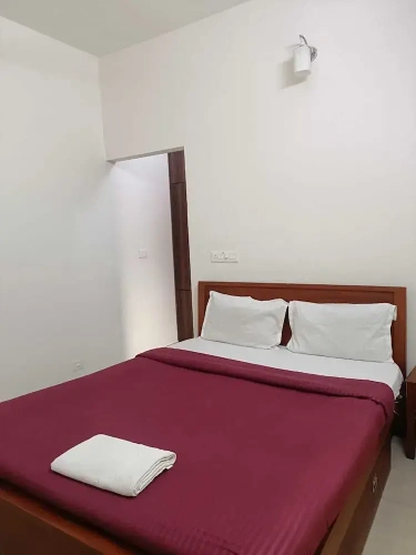 Deluxe Double room with balcony and with garden view