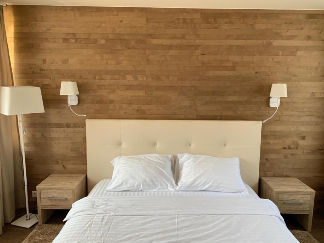1 Bedroom Suite