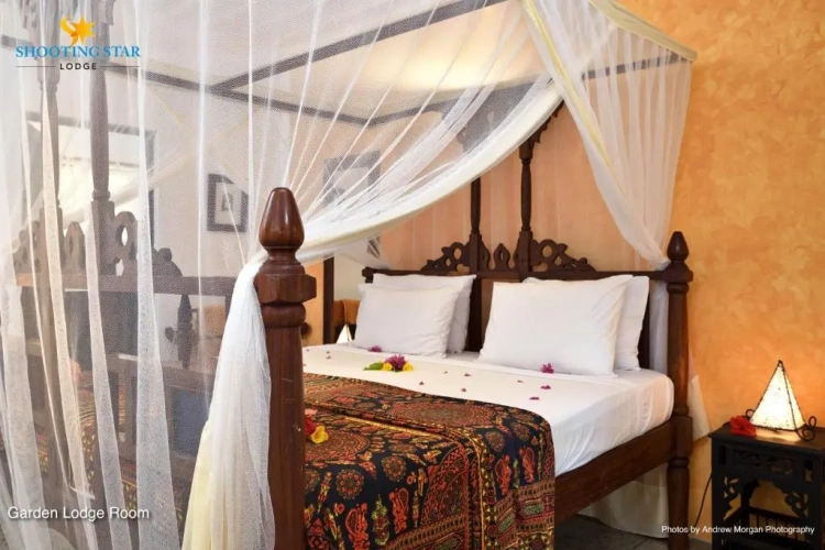 Standard Double room with garden view